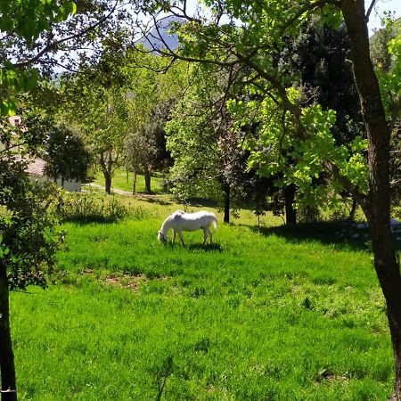 מוראנו קלאברו Agriturismo Colloreto מראה חיצוני תמונה