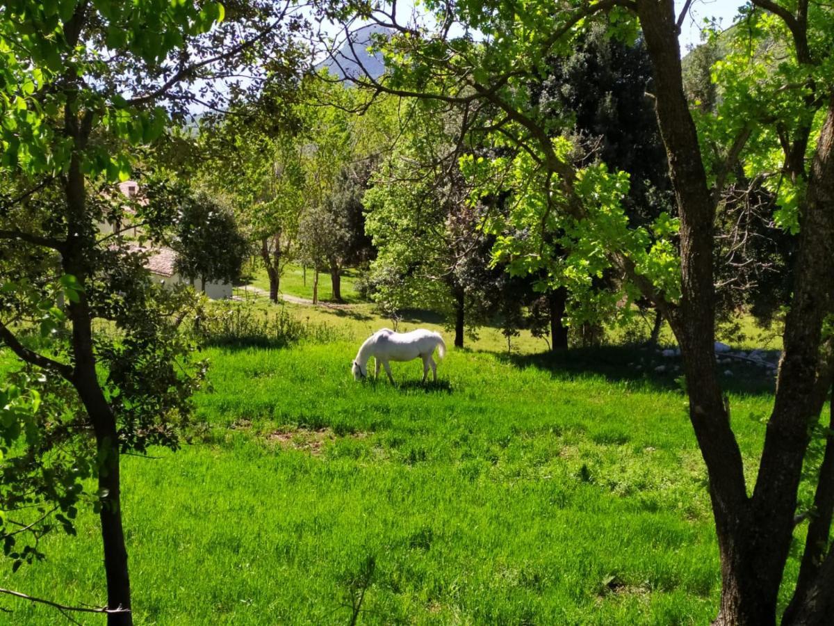 מוראנו קלאברו Agriturismo Colloreto מראה חיצוני תמונה